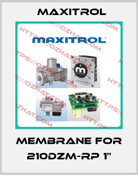 Membrane for 210DZM-Rp 1" Maxitrol