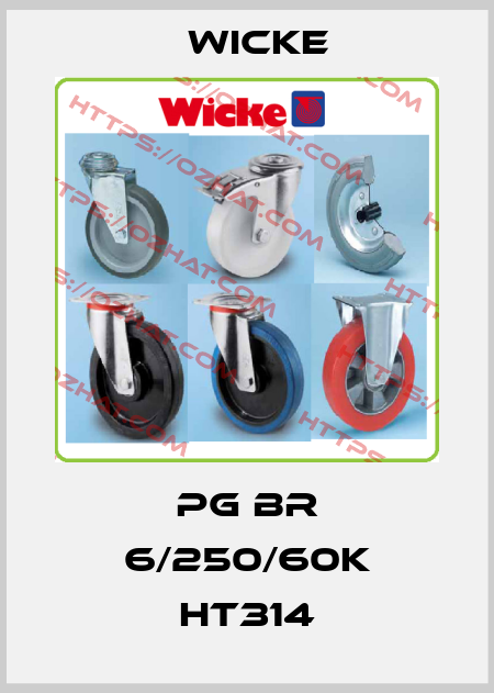 PG BR 6/250/60K HT314 Wicke