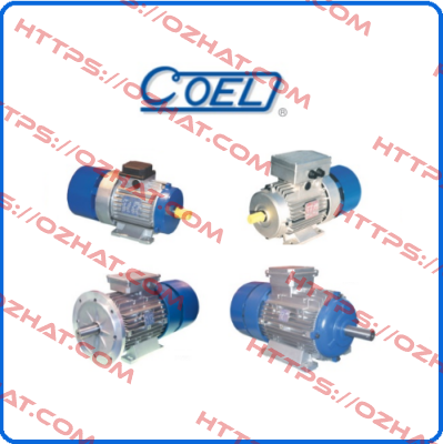 3446 (MOT.MH63C4 B5 KW0.13 V.110/50-60) Coel