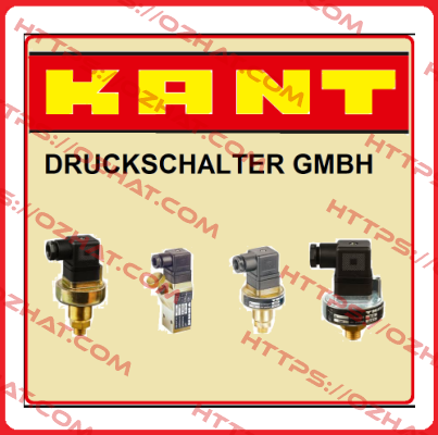 802-10- 2 1 1  (2) KANT