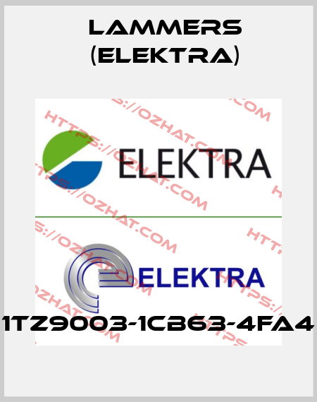 1TZ9003-1CB63-4FA4 Lammers (Elektra)