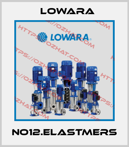 No12.elastmers Lowara