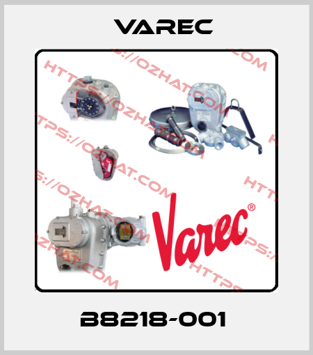 B8218-001  Varec