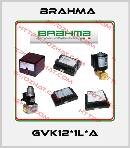 GVK12*1L*A Brahma