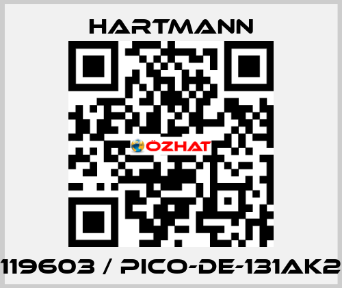 119603 / PICO-DE-131AK2 Hartmann