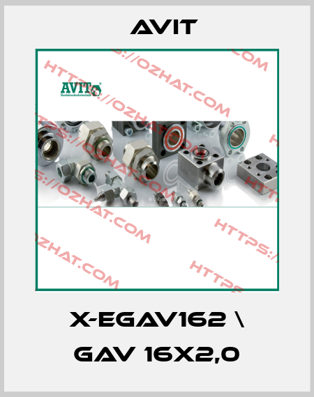 X-EGAV162 \ GAV 16X2,0 Avit