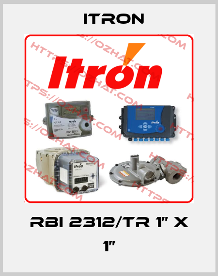 RBI 2312/TR 1” x 1” Itron
