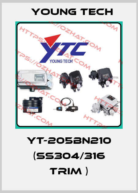 YT-205BN210 (SS304/316 trim ) Young Tech