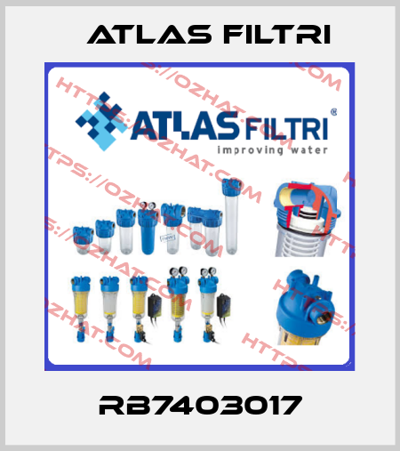 RB7403017 Atlas Filtri