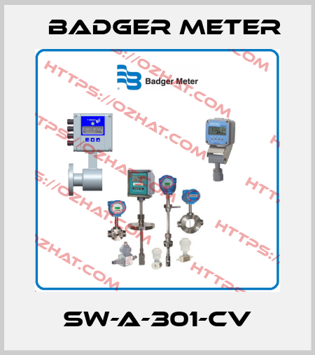 SW-A-301-CV Badger Meter
