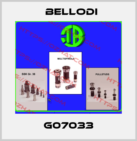 G07033 Bellodi