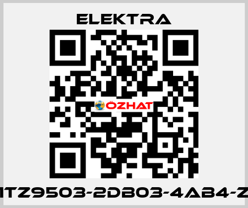 1TZ9503-2DB03-4AB4-Z ELEKTRA