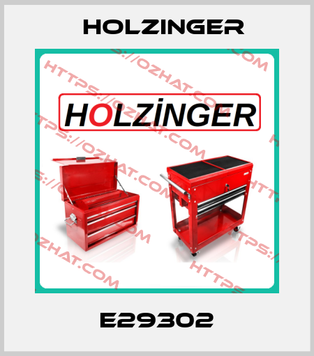 E29302 holzinger