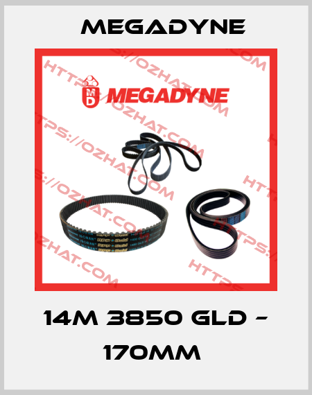 14M 3850 GLD – 170MM  Megadyne