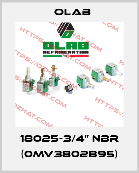 18025-3/4" NBR (0MV3802895) Olab