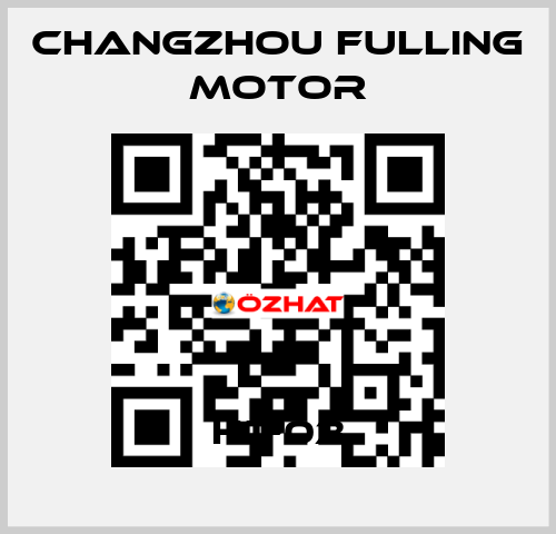 HT-03 Changzhou Fulling Motor