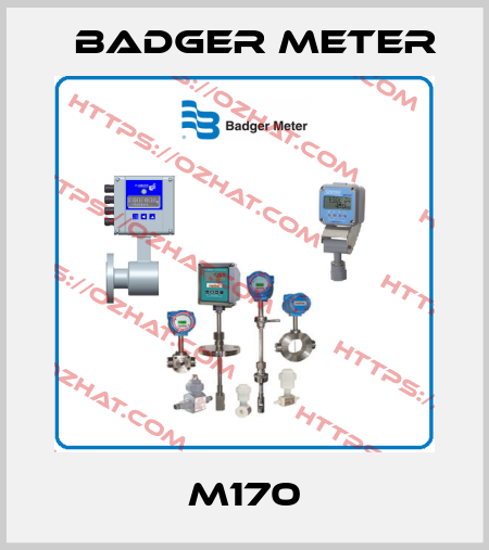M170 Badger Meter