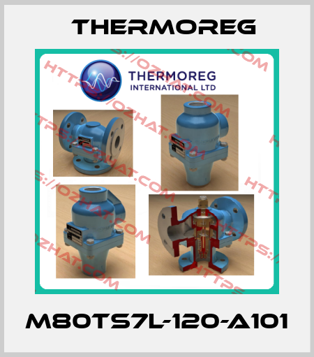 M80TS7L-120-A101 Thermoreg