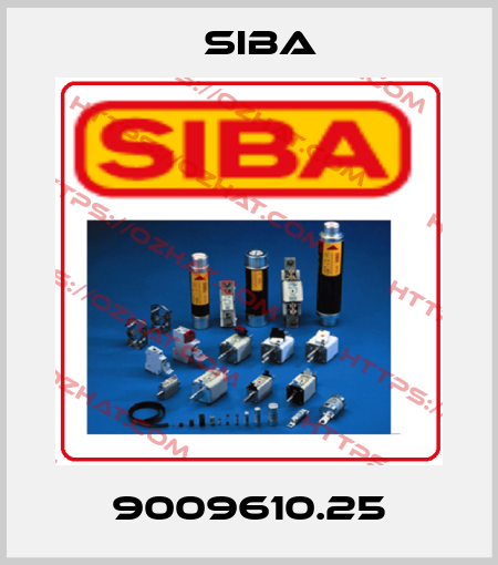 9009610.25 Siba