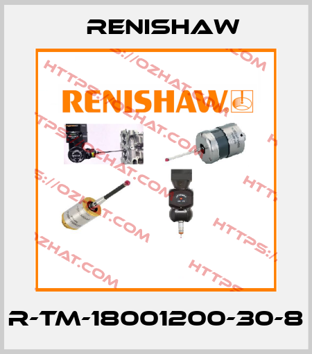 R-TM-18001200-30-8 Renishaw