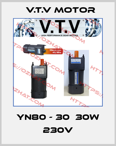 YN80 - 30  30W 230V V.t.v Motor