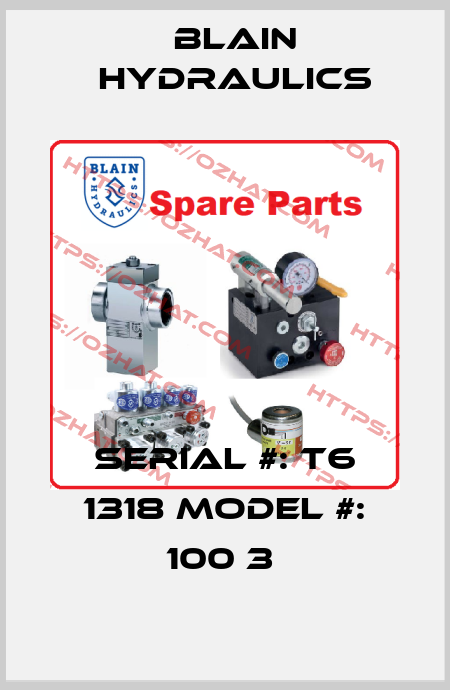 SERIAL #: T6 1318 MODEL #: 100 3  Blain Hydraulics