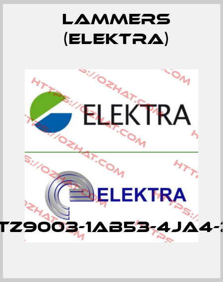 1TZ9003-1AB53-4JA4-Z Lammers (Elektra)