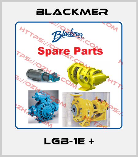 lgb-1E + Blackmer