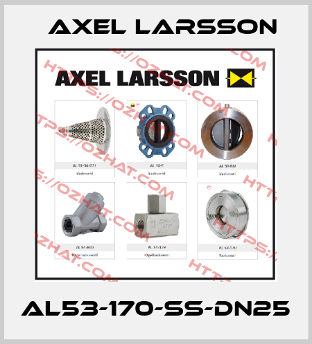 AL53-170-SS-DN25 AXEL LARSSON