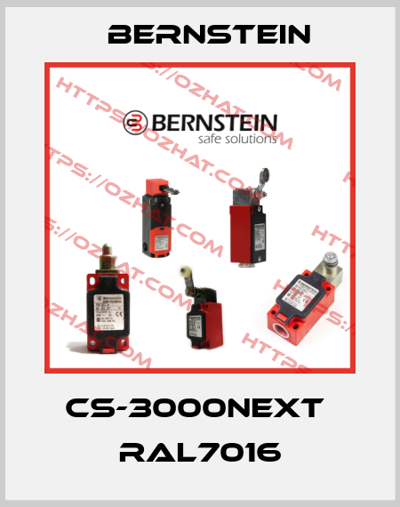 CS-3000neXt  RAL7016 Bernstein