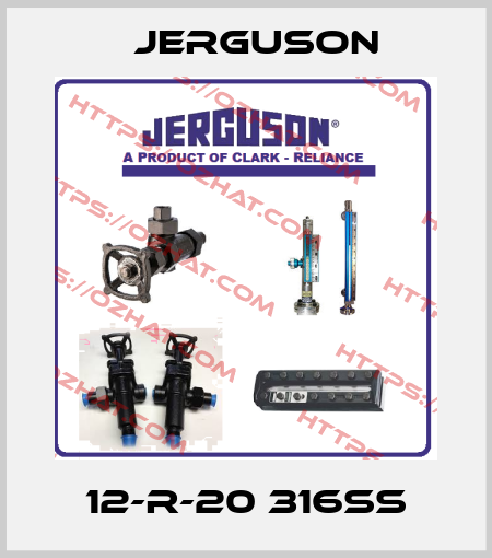 12-R-20 316SS Jerguson
