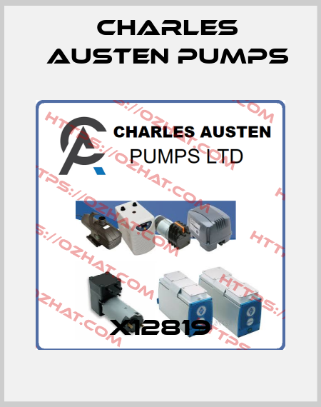 X12819 Charles Austen Pumps