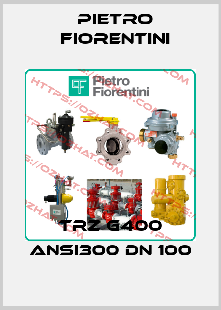 TRZ G400 ANSI300 DN 100 Pietro Fiorentini