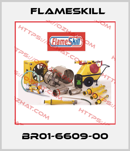 BR01-6609-00 FlameSkill