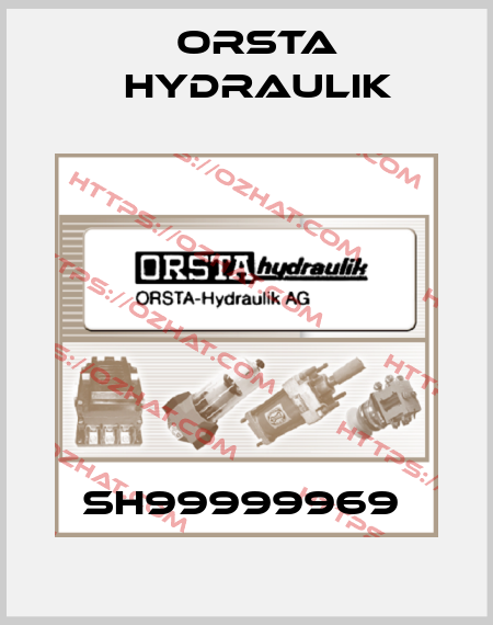 SH99999969  Orsta Hydraulik