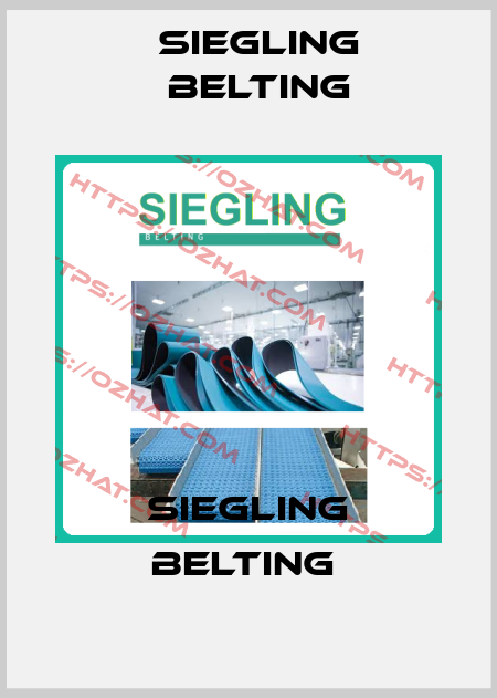 SIEGLING BELTING  Siegling Belting