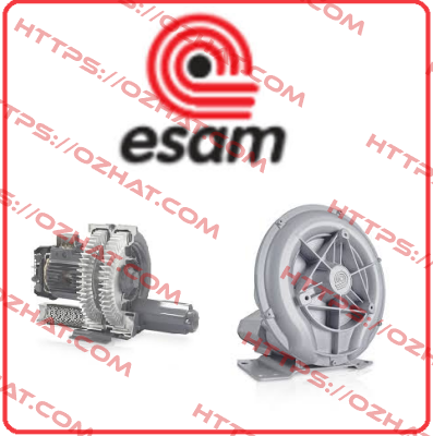 P/N: 076700, Type: Maxi Jet 2S CE Esam