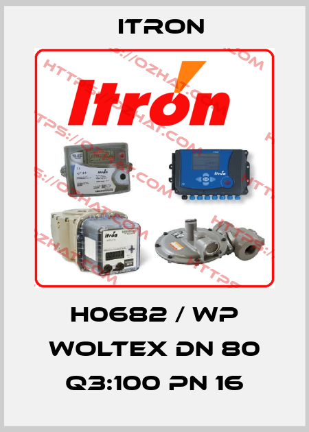 H0682 / WP Woltex DN 80 Q3:100 PN 16 Itron