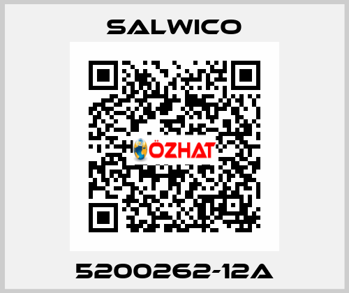 5200262-12A Salwico
