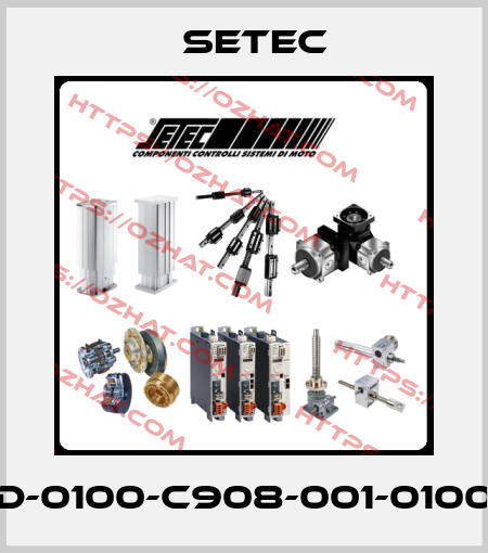 D-0100-C908-001-0100 Setec