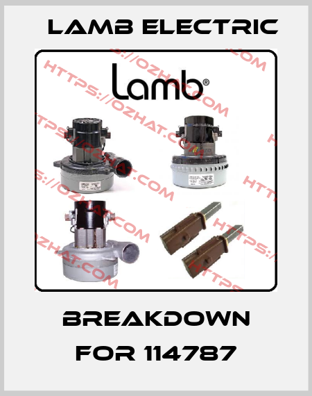 breakdown for 114787 Lamb Electric