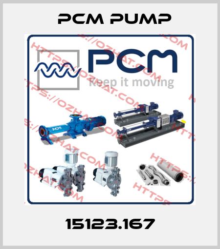 15123.167 PCM Pump