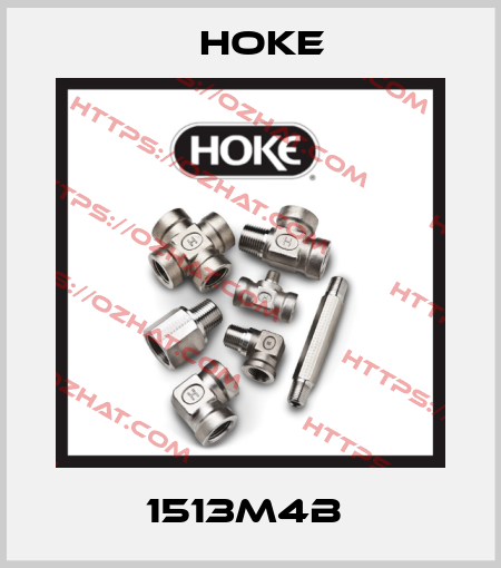 1513M4B  Hoke