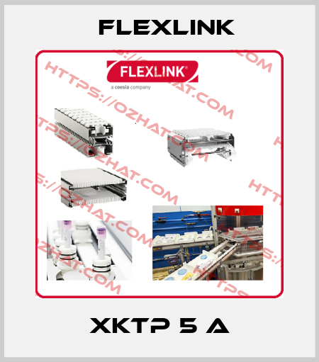 XKTP 5 A FlexLink