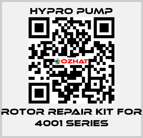 Rotor Repair Kit for 4001 Series Hypro Pump