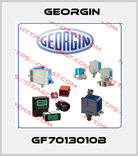 GF7013010B Georgin
