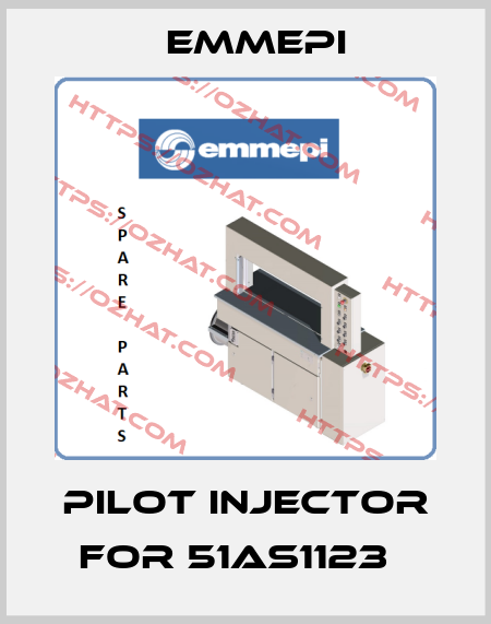 pilot injector for 51AS1123   Emmepi