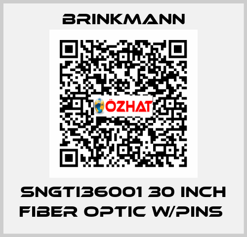 SNGTI36001 30 INCH FIBER OPTIC W/PINS  Brinkmann