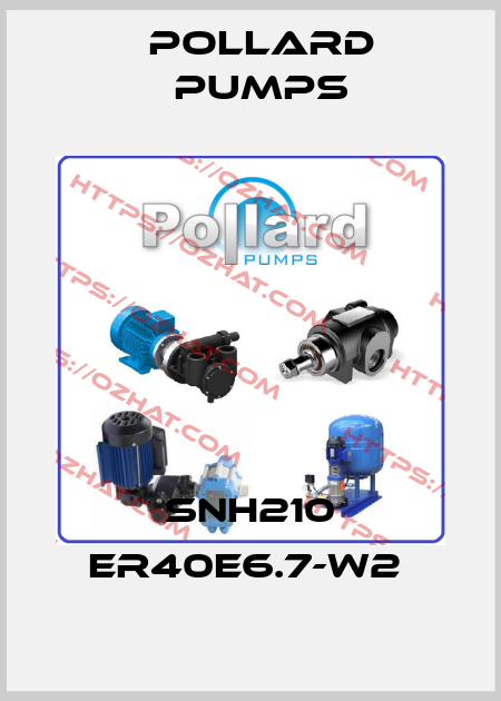 SNH210 ER40E6.7-W2  Pollard pumps