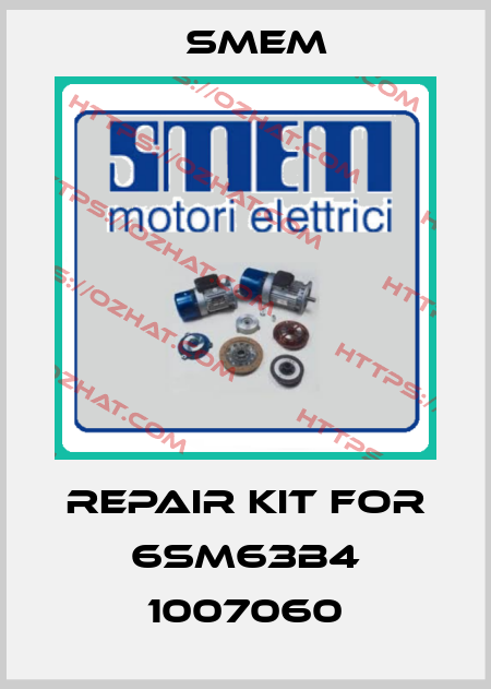 repair kit for 6SM63B4 1007060 Smem